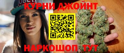 индика Рузаевка