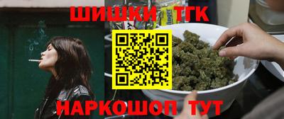 индика Рузаевка