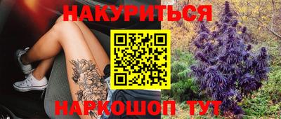 индика Рузаевка
