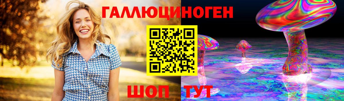 Фурманов  Галлюциногенные грибы Psilocybine cubensis  Вход с VPN 